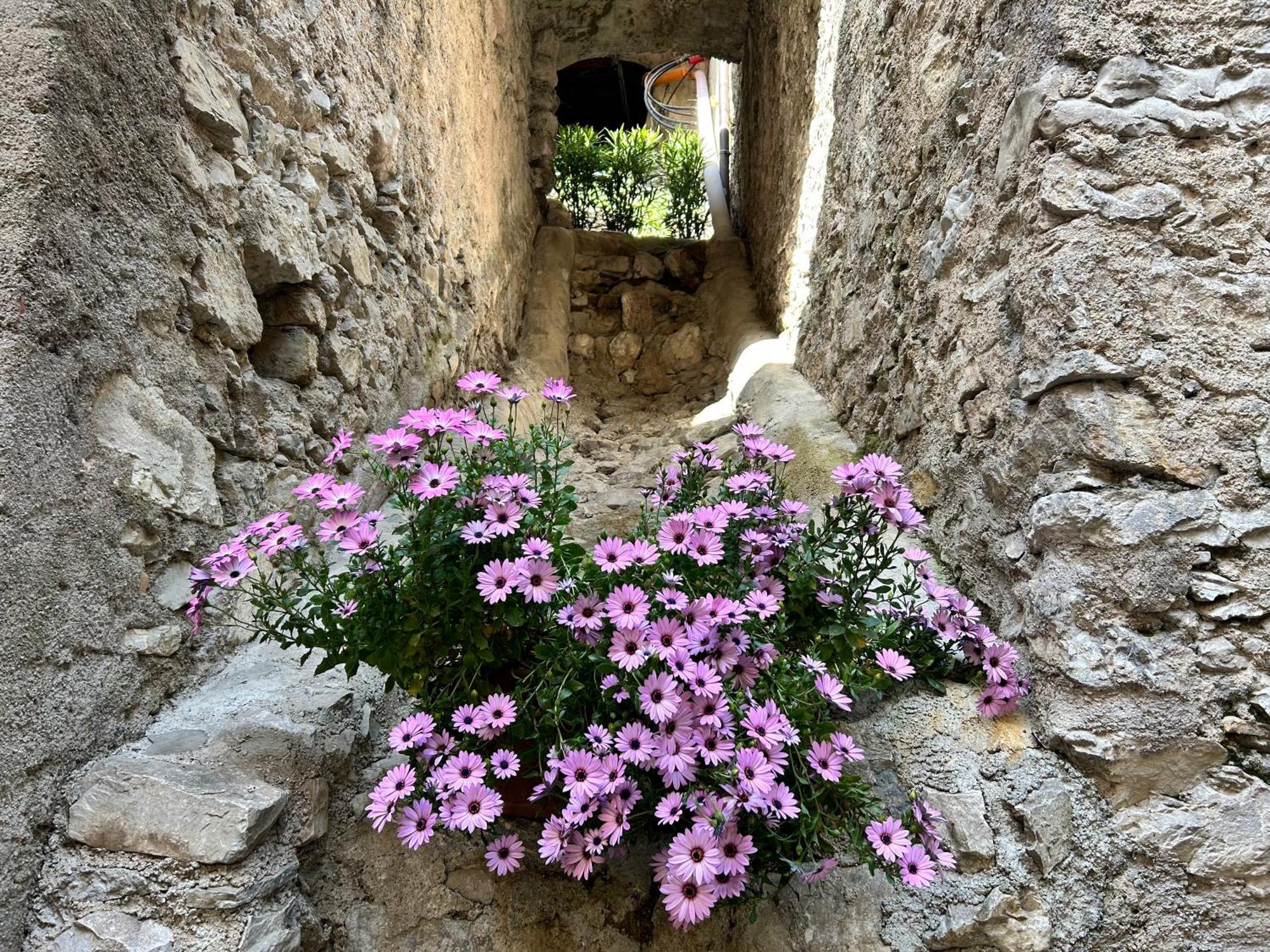 Studios Al Castello Dei Limoni Limone sul Garda Ngoại thất bức ảnh